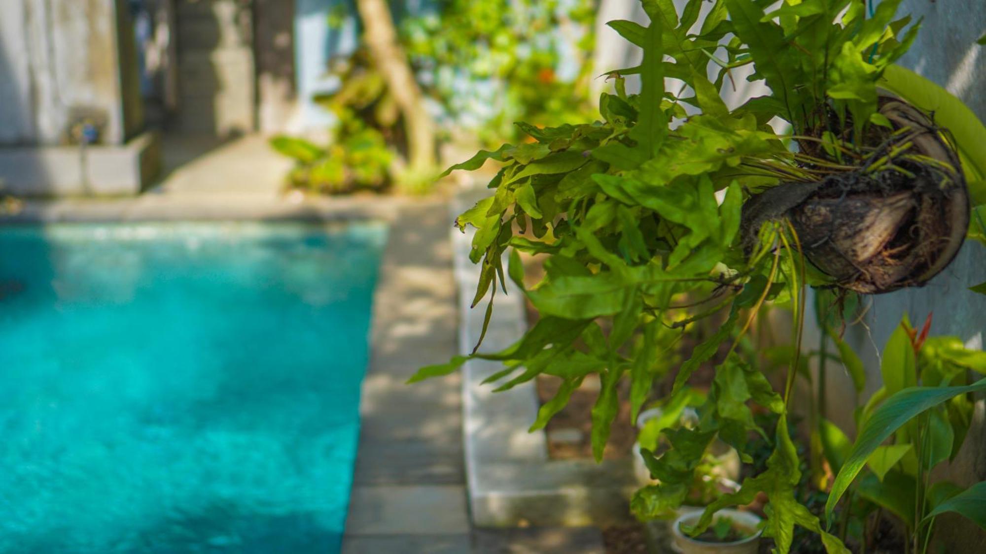 Hotel Dirga'S House Sanur View By Eps Exterior foto